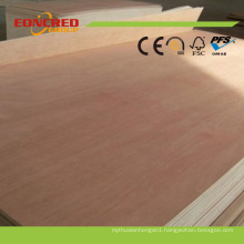 Commercial Plywood with Bintangor Veneers